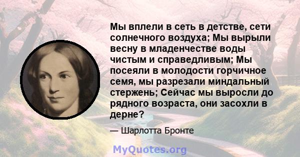 Мы вплели в сеть в детстве, сети солнечного воздуха; Мы вырыли весну в младенчестве воды чистым и справедливым; Мы посеяли в молодости горчичное семя, мы разрезали миндальный стержень; Сейчас мы выросли до рядного