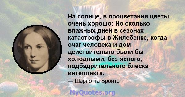 На солнце, в процветании цветы очень хорошо; Но сколько влажных дней в сезонах катастрофы в Жилебенке, когда очаг человека и дом действительно были бы холодными, без ясного, подбадрительного блеска интеллекта.