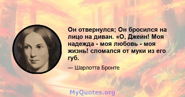 Он отвернулся; Он бросился на лицо на диван. «О, Джейн! Моя надежда - моя любовь - моя жизнь! сломался от муки из его губ.