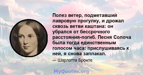 Полез ветер, подметавший лавровую прогулку, и дрожал сквозь ветви каштана: он убрался от бессрочного расстояния-погиб. Песня Солоча была тогда единственным голосом часа: прислушиваясь к ней, я снова заплакал.