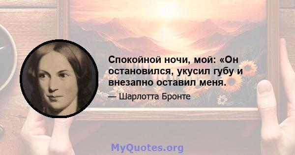 Спокойной ночи, мой: «Он остановился, укусил губу и внезапно оставил меня.