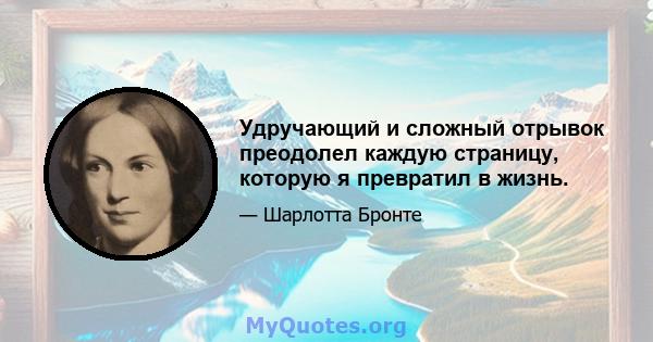 Удручающий и сложный отрывок преодолел каждую страницу, которую я превратил в жизнь.