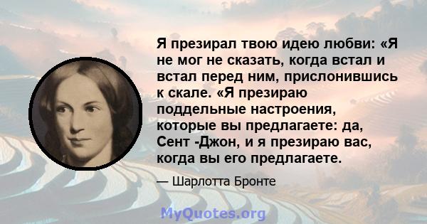 Я презирал твою идею любви: «Я не мог не сказать, когда встал и встал перед ним, прислонившись к скале. «Я презираю поддельные настроения, которые вы предлагаете: да, Сент -Джон, и я презираю вас, когда вы его