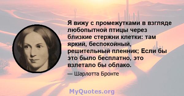 Я вижу с промежутками в взгляде любопытной птицы через близкие стержни клетки: там яркий, беспокойный, решительный пленник; Если бы это было бесплатно, это взлетало бы облако.