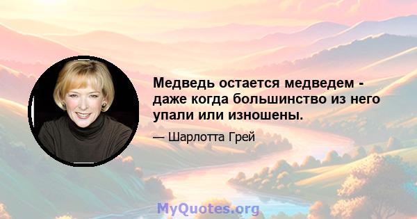 Медведь остается медведем - даже когда большинство из него упали или изношены.