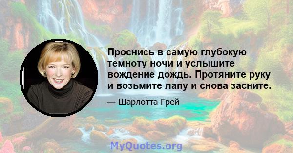 Проснись в самую глубокую темноту ночи и услышите вождение дождь. Протяните руку и возьмите лапу и снова засните.