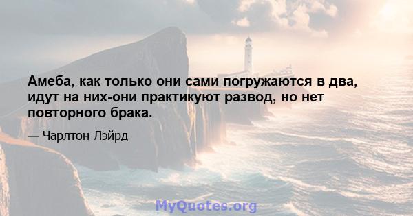 Амеба, как только они сами погружаются в два, идут на них-они практикуют развод, но нет повторного брака.