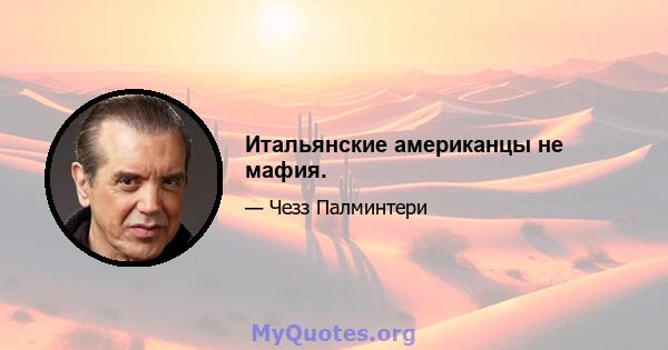 Итальянские американцы не мафия.