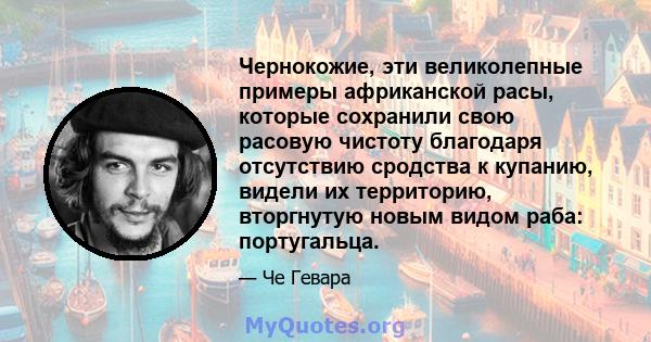 Чернокожие, эти великолепные примеры африканской расы, которые сохранили свою расовую чистоту благодаря отсутствию сродства к купанию, видели их территорию, вторгнутую новым видом раба: португальца.