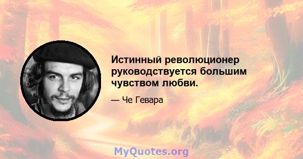 Истинный революционер руководствуется большим чувством любви.