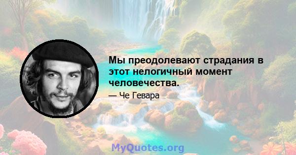 Мы преодолевают страдания в этот нелогичный момент человечества.