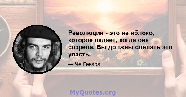 Революция - это не яблоко, которое падает, когда она созрела. Вы должны сделать это упасть.