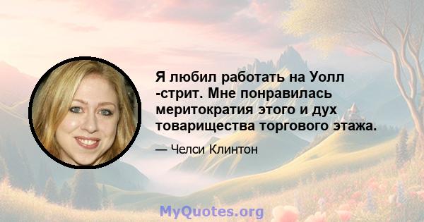 Я любил работать на Уолл -стрит. Мне понравилась меритократия этого и дух товарищества торгового этажа.