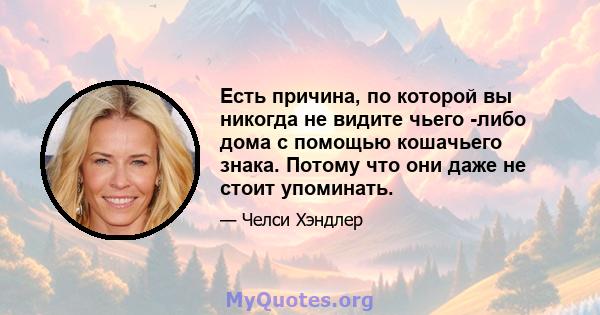 Есть причина, по которой вы никогда не видите чьего -либо дома с помощью кошачьего знака. Потому что они даже не стоит упоминать.