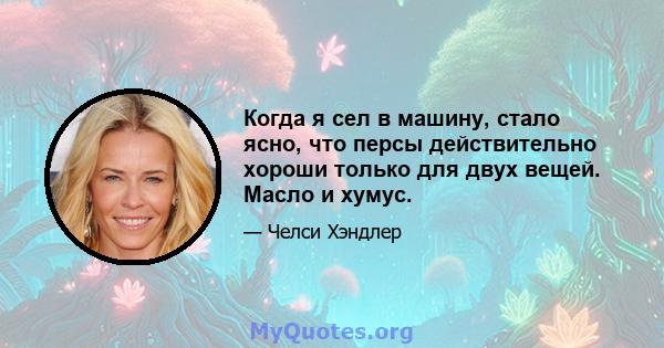 Когда я сел в машину, стало ясно, что персы действительно хороши только для двух вещей. Масло и хумус.