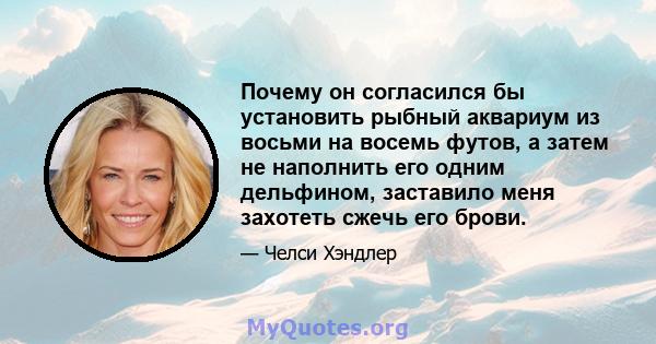 Почему он согласился бы установить рыбный аквариум из восьми на восемь футов, а затем не наполнить его одним дельфином, заставило меня захотеть сжечь его брови.