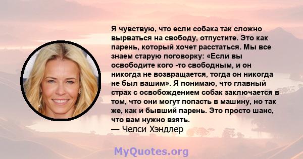 Я чувствую, что если собака так сложно вырваться на свободу, отпустите. Это как парень, который хочет расстаться. Мы все знаем старую поговорку: «Если вы освободите кого -то свободным, и он никогда не возвращается,