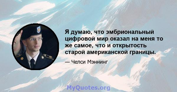 Я думаю, что эмбриональный цифровой мир оказал на меня то же самое, что и открытость старой американской границы.