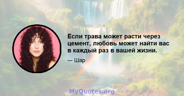 Если трава может расти через цемент, любовь может найти вас в каждый раз в вашей жизни.