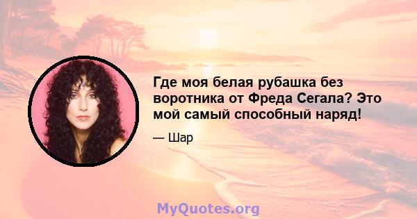 Где моя белая рубашка без воротника от Фреда Сегала? Это мой самый способный наряд!