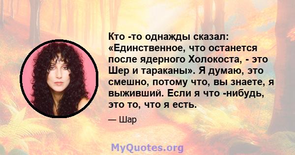 Кто -то однажды сказал: «Единственное, что останется после ядерного Холокоста, - это Шер и тараканы». Я думаю, это смешно, потому что, вы знаете, я выживший. Если я что -нибудь, это то, что я есть.