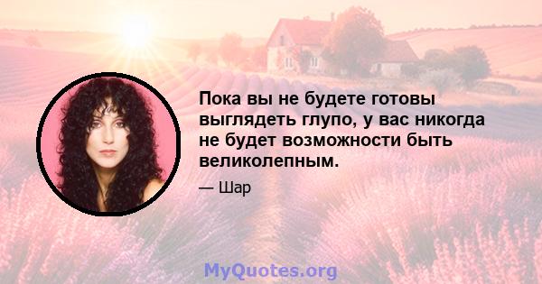 Пока вы не будете готовы выглядеть глупо, у вас никогда не будет возможности быть великолепным.