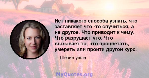 Нет никакого способа узнать, что заставляет что -то случиться, а не другое. Что приводит к чему. Что разрушает что. Что вызывает то, что процветать, умереть или пройти другой курс.