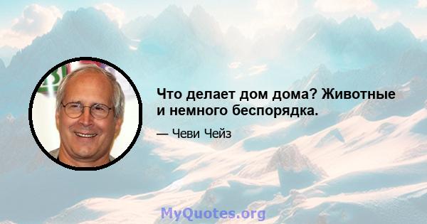 Что делает дом дома? Животные и немного беспорядка.