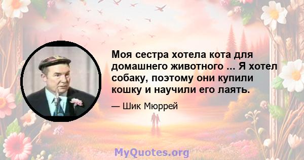 Моя сестра хотела кота для домашнего животного ... Я хотел собаку, поэтому они купили кошку и научили его лаять.