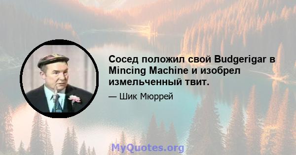 Сосед положил свой Budgerigar в Mincing Machine и изобрел измельченный твит.