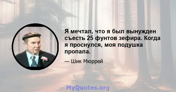 Я мечтал, что я был вынужден съесть 25 фунтов зефира. Когда я проснулся, моя подушка пропала.