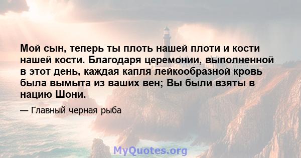 Мой сын, теперь ты плоть нашей плоти и кости нашей кости. Благодаря церемонии, выполненной в этот день, каждая капля лейкообразной кровь была вымыта из ваших вен; Вы были взяты в нацию Шони.