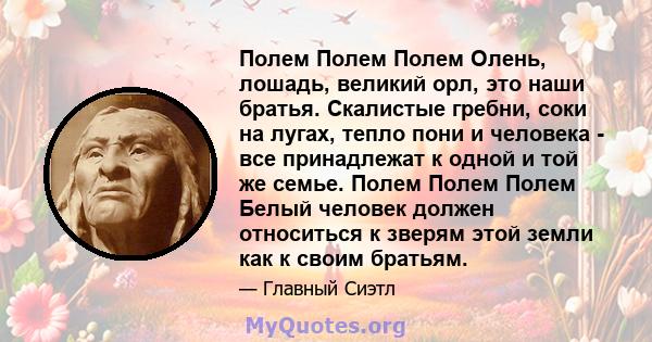 Полем Полем Полем Олень, лошадь, великий орл, это наши братья. Скалистые гребни, соки на лугах, тепло пони и человека - все принадлежат к одной и той же семье. Полем Полем Полем Белый человек должен относиться к зверям