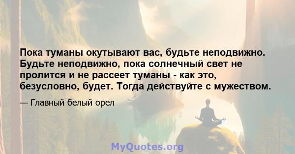 Пока туманы окутывают вас, будьте неподвижно. Будьте неподвижно, пока солнечный свет не пролится и не рассеет туманы - как это, безусловно, будет. Тогда действуйте с мужеством.