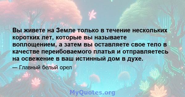 Вы живете на Земле только в течение нескольких коротких лет, которые вы называете воплощением, а затем вы оставляете свое тело в качестве переибоваемого платья и отправляетесь на освежение в ваш истинный дом в духе.