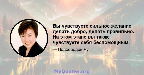 Вы чувствуете сильное желание делать добро, делать правильно. На этом этапе вы также чувствуете себя беспомощным.