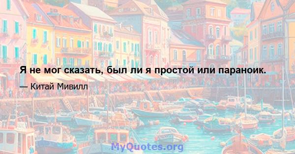 Я не мог сказать, был ли я простой или параноик.