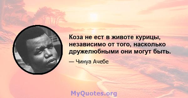 Коза не ест в животе курицы, независимо от того, насколько дружелюбными они могут быть.