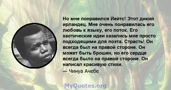 Но мне понравился Йейтс! Этот дикий ирландец. Мне очень понравилась его любовь к языку, его поток. Его хаотические идеи казались мне просто подходящими для поэта. Страсть! Он всегда был на правой стороне. Он может быть