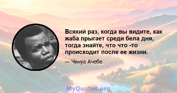 Всякий раз, когда вы видите, как жаба прыгает среди бела дня, тогда знайте, что что -то происходит после ее жизни.