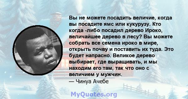 Вы не можете посадить величие, когда вы посадите ямс или кукурузу. Кто когда -либо посадил дерево Ироко, величайшее дерево в лесу? Вы можете собрать все семена ироко в мире, открыть почву и поставить их туда. Это будет