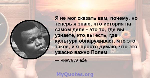 Я не мог сказать вам, почему, но теперь я знаю, что история на самом деле - это то, где вы узнаете, кто вы есть, где культура обнаруживает, что это такое, и я просто думаю, что это ужасно важно Полем