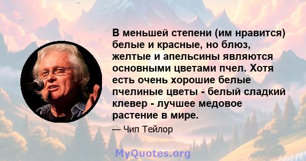 В меньшей степени (им нравится) белые и красные, но блюз, желтые и апельсины являются основными цветами пчел. Хотя есть очень хорошие белые пчелиные цветы - белый сладкий клевер - лучшее медовое растение в мире.