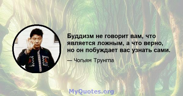 Буддизм не говорит вам, что является ложным, а что верно, но он побуждает вас узнать сами.