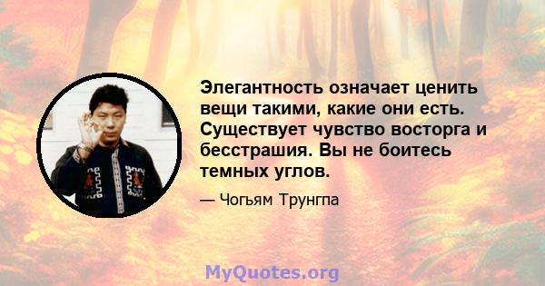 Элегантность означает ценить вещи такими, какие они есть. Существует чувство восторга и бесстрашия. Вы не боитесь темных углов.