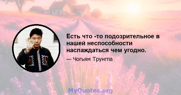 Есть что -то подозрительное в нашей неспособности наслаждаться чем угодно.