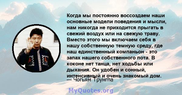 Когда мы постоянно воссоздаем наши основные модели поведения и мысли, нам никогда не приходится прыгать в свежий воздух или на свежую траву. Вместо этого мы включаем себя в нашу собственную темную среду, где наш