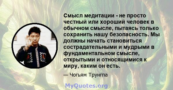 Смысл медитации - не просто честный или хороший человек в обычном смысле, пытаясь только сохранить нашу безопасность. Мы должны начать становиться сострадательными и мудрыми в фундаментальном смысле, открытыми и