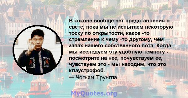 В коконе вообще нет представления о свете, пока мы не испытаем некоторую тоску по открытости, какое -то стремление к чему -то другому, чем запах нашего собственного пота. Когда мы исследуем эту удобную темноту -