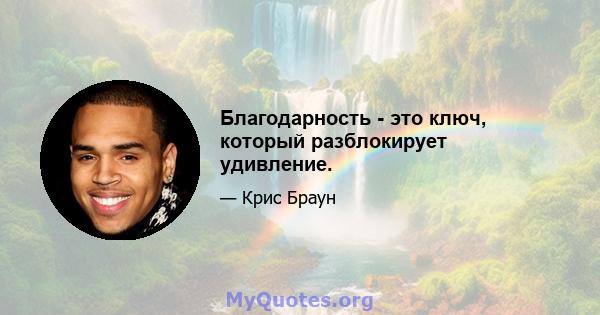 Благодарность - это ключ, который разблокирует удивление.